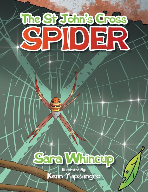 The St Johns Cross Spider
