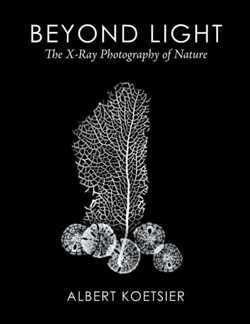 Beyond Light: The X-Ray Photography of Nature