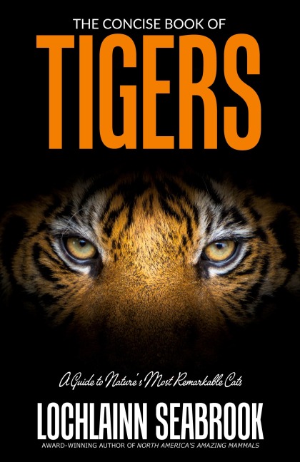 Shanes Story: Short Stories Book 2