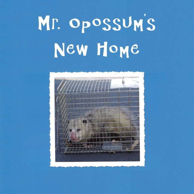 Mr. Opossums New Home