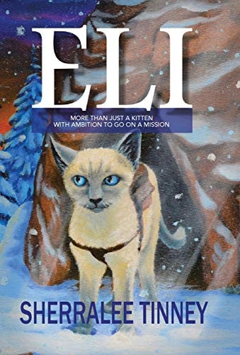 Eli More Than Just a Kitten with Ambition to Go on a Mission