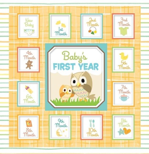 Babys First Year