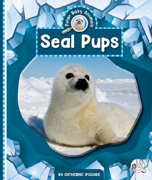 Seal Pups