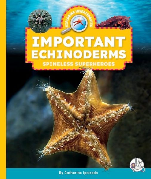 Important Echinoderms: Spineless Superheroes