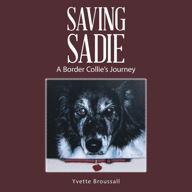 Saving Sadie: A Border Collies Journey