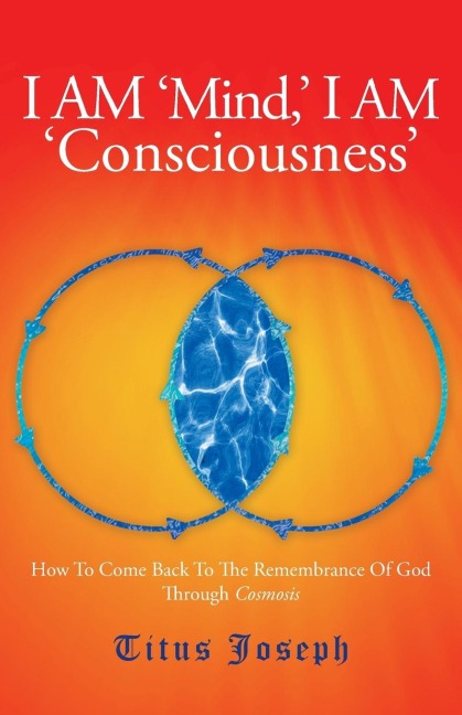 I AM MIND I AM CONSCIOUSNESS