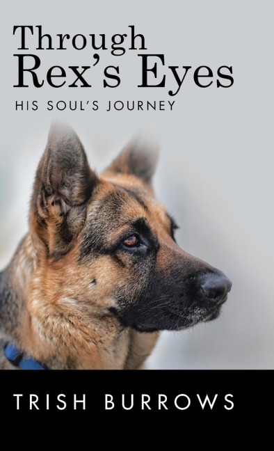 Through Rexs Eyes: His Souls Journey