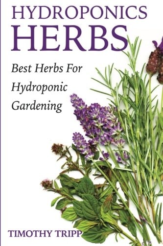 Hydroponics Herbs Best Herbs For Hydroponic Gardening