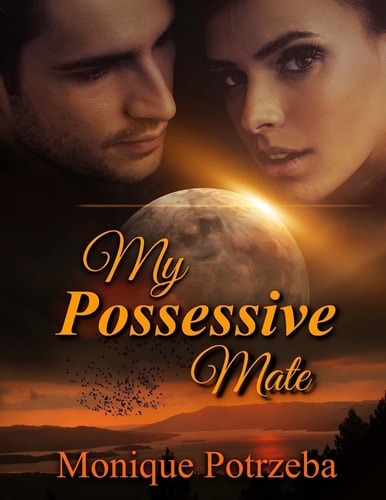 My Possessive Mate What If Your Mate Was Possessive and Lustful at the Same Time Would You Love It?