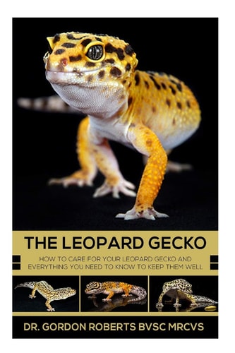 The Leopard Gecko How to Care for Your Leopard Gecko and Everything You Need to Know to Keep Them Well