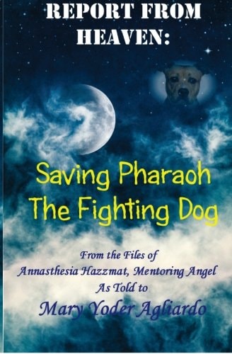 Report From Heaven Saving Pharaoh the Fighting Dog: From the Files of Annasthesia Hazzmat, Mentoring Angel