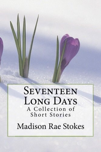 Seventeen Long Days A Collection of Short Stories