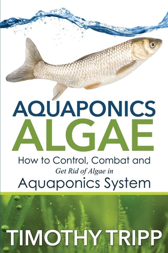 Aquaponics Algae How to Control, Combat and Get Rid of Algae in Aquaponics System