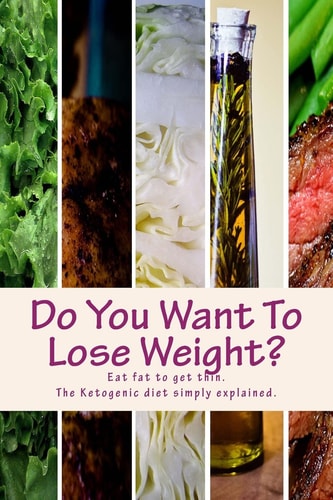Do You Want To Lose Weight? The Pocket Handbook on Fast Effective Weight Loss