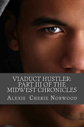 Viaduct Hustler Part III of the Midwest Chronicles