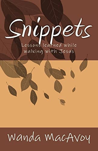 Snippets Lessons Learned from a Walk with Jesus