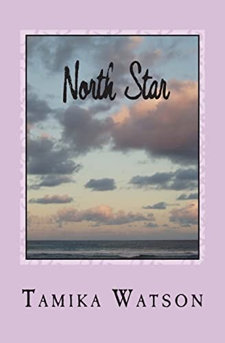 North Star Using The Past For The Future