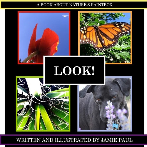 Look! A Book about Nature's Paintbox