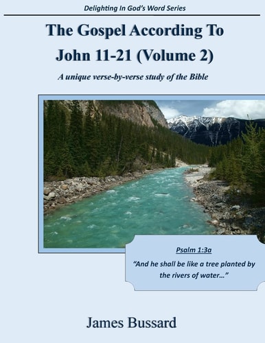The Gospel According To John 11-21 (Volume 2) A Unique Verse-by-verse Study of the Bible
