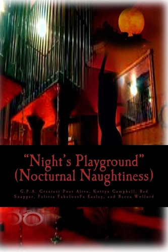 Night's Playground Nocturnal Naughtiness