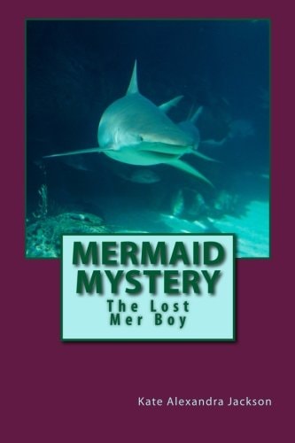 Mermaid Mystery The Lost Mer Boy