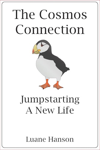The Cosmos Connection Jumpstarting a New Life