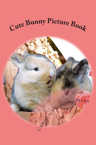 Cute Bunny Picture Book Whimsical Collages of Rabbit Habits
