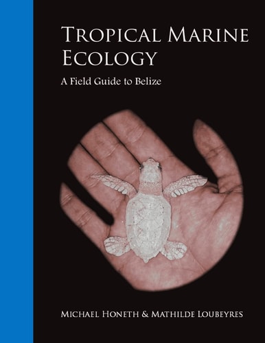 Tropical Marine Ecology A Field Guide to Belize