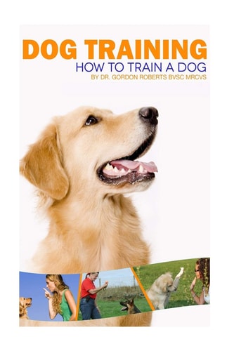 Dog Training How to Train a Dog