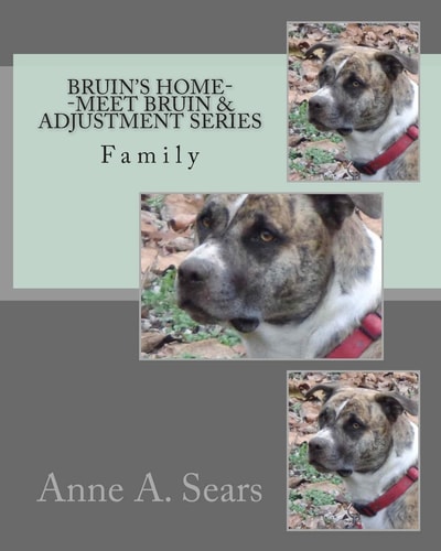 Bruin's Home--Meet Bruin and Adjustment Series Family