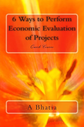 Six Ways to Perform Economic Evaluation of Projects Quick Course