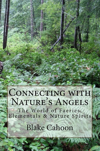 Connecting with Nature's Angels The World of Faeries, Elementals and Nature Spirits