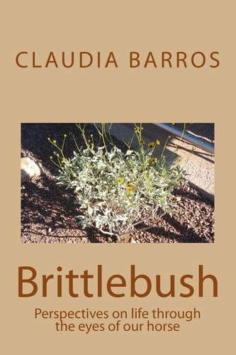 Brittlebush Perspectives on Life Through the Eyes of Our Horse