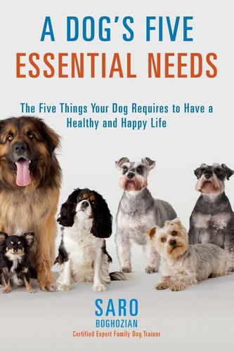 A Dog's Five Essential Needs The Five Things Your Dog Requires to Have a Healthy and Happy Life