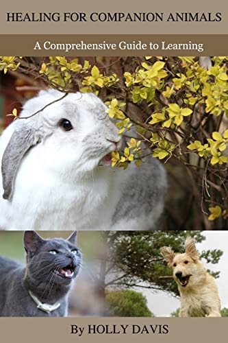 Healing for Companion Animals A Comprehensive Guide to Learning