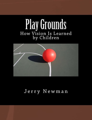 Play Grounds How Vision Is Learned by Children