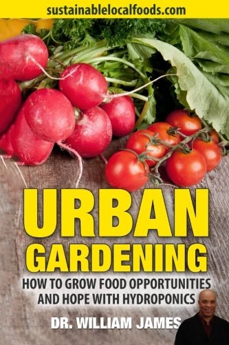 Urban Gardening How to Grow Food Opportunities and Hope