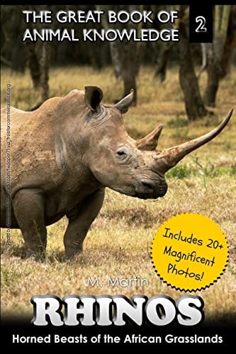 Rhinos Horned Beast of the African Grasslands