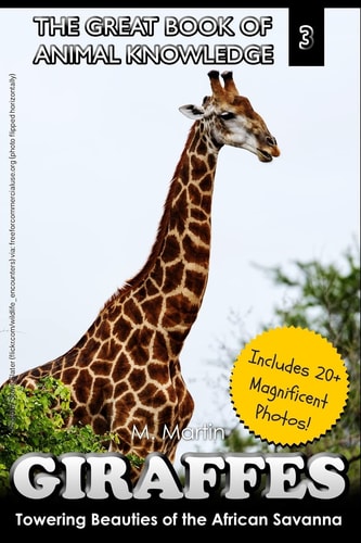 The Giraffe Towering Beauty of the African Savanna