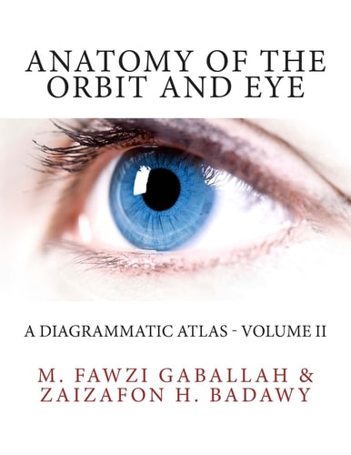 Anatomy of the Orbit and Eye A Diagrammatic Atlas - Volume II