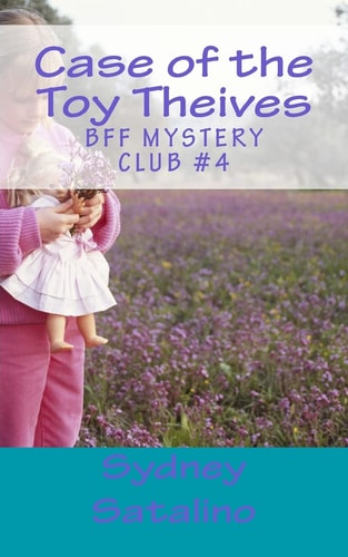 Case of the Toy Theives