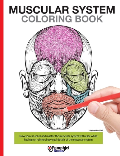 Muscular System Coloring Book Now You Can Learn and Master the Muscular System with Ease While Having Fun