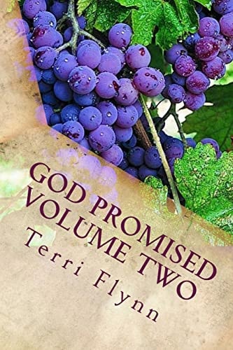 God Promised Volume Two Proclaiming the Word Over
