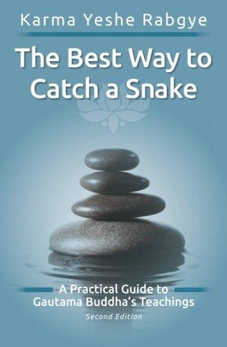 The Best Way to Catch a Snake A Practical Guide To Gautama Buddha's Teachings