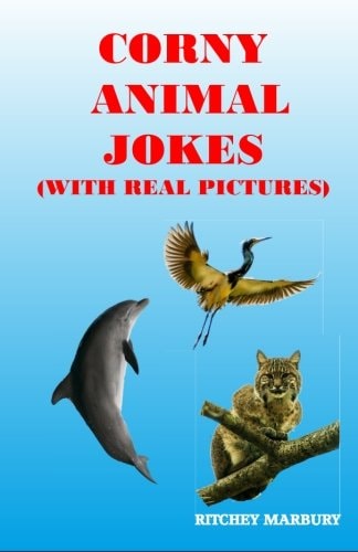 Corny Animal Jokes With Real Pictures