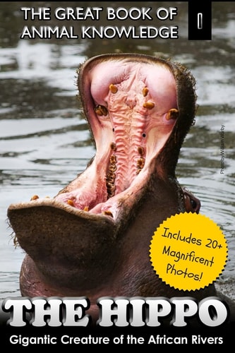 The Hippo Gigantic Creature of the African Rivers