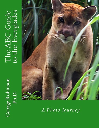 The ABC Guide to the Everglades A Photo Journey