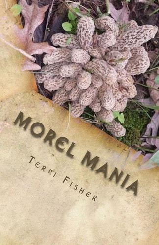 Morel Mania A Beginners Guide to Hunting Morels