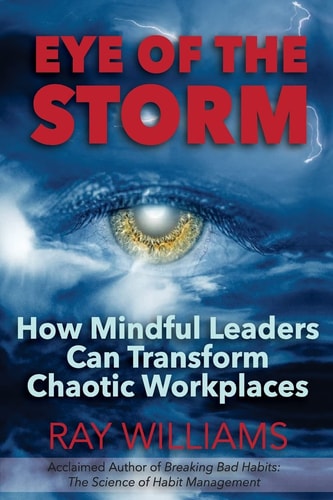 Eye Of The Storm How Mindful Leaders Can Transform Chaotic Workplaces