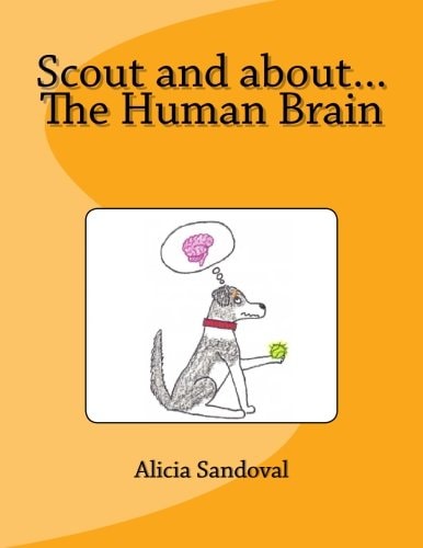 Scout and About...The Human Brain